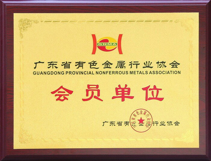 Member of Guangdong Nonferrous Metals Association
